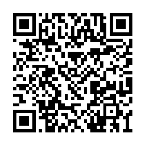 夏沧岚平静之极的说出了让我目瞪口呆的事实来二维码生成