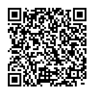 夏瑞泽的悲风剑上延伸的狭长纯粹剑气和我的仙剑合一撞在了一起二维码生成