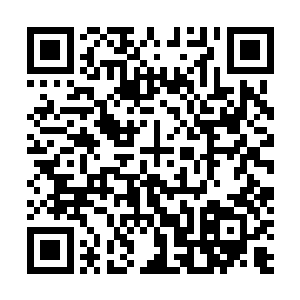 夏紫烟的父母在门派中年纪轻轻就双双登上元婴大能行列二维码生成