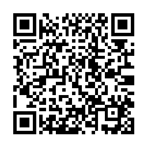 夏阗和天玄国的云鹿王子居然肆无忌惮的还在交谈着二维码生成