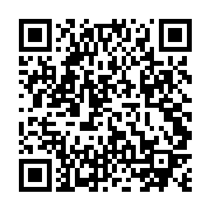 夏雨望着眼神逐渐变得冰冷的刑使大人终于有些害怕了二维码生成