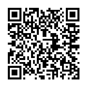 外围羽翼还有折家军一个指挥的轻骑以为哨探遮护二维码生成