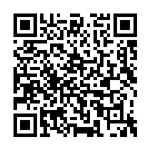 外婆从鬼娃轩辕锐那夺回了媳妇姐姐的鬼凄神剑二维码生成