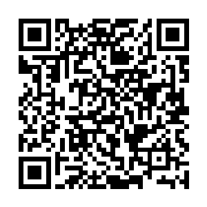 外星人能悄无声息的将身为先天高手的大家带到这里二维码生成