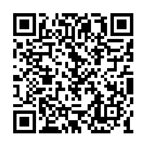 外界已经日益稀少的珍惜药材像杂草般随处可见二维码生成