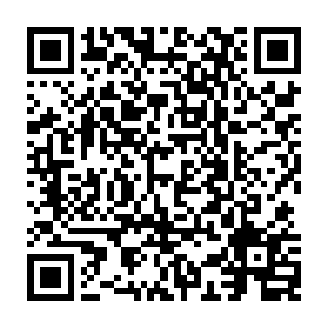 外祖母的灵柩还在那儿……幸好舅舅没事……萱儿已经没有娘亲和外祖母了二维码生成