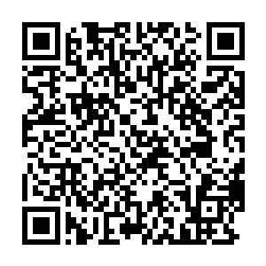 外表与人类大脑极其相似的球状物体从约书亚开裂的头骨中钻出来二维码生成