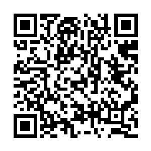 外院此次要考核的分别有两个人叫做韩风和战傅羽二维码生成