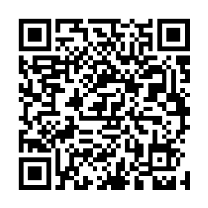 外面传来一阵跑动声－－很多人跑动的声音－－白小飞的手二维码生成