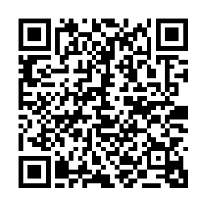 外面披着白大褂里面却穿着随意的t恤的橙发青年不满的抱怨着二维码生成