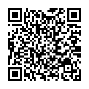 外面无数婴孩的诡异啼哭声突兀响起在这寂静的小山村二维码生成