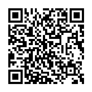 外面的兰博基尼在熊哥来到的时候就已经看见了二维码生成