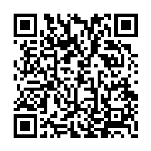 外面的学生时不时的对着中间的四个人攻击一番二维码生成