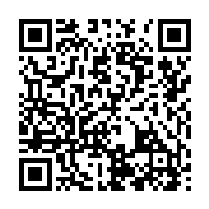 外面的那一道道轻微的声音宛如死神的脚步不断靠近二维码生成