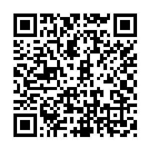 多以四大部洲为统治居多但想来寰宇自诞生开始二维码生成