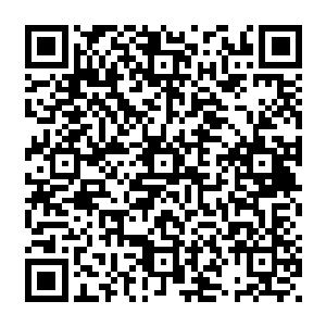 多半是机缘巧合或者干脆就是他老爹恶魔领主巴尔赫使用自己的资源或者强大的武力捕获的二维码生成