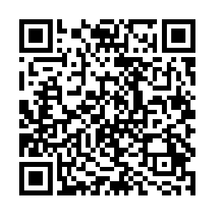 多多利亚在战斗中基本是依靠视觉来捕捉对手行动的二维码生成