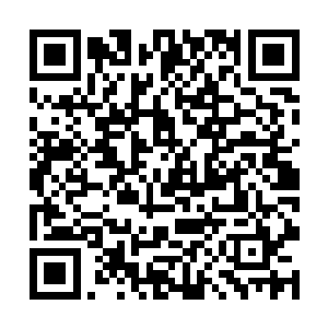 多宝天王和抚琴天王也亲率仙军在乾元城内大肆搜索二维码生成