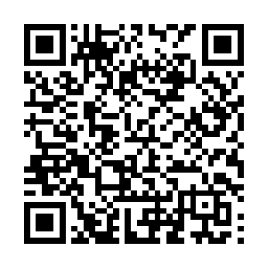 多少个夜夜一下航班不顾身体的疲累就帮助林烽补习英语二维码生成