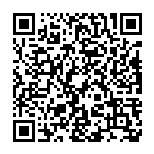 多少也要给点面子的……更何况埃尔夫伦斯的死亡也是隐瞒不住的二维码生成