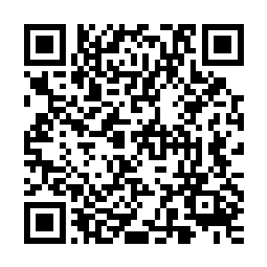 多少强者排着队都想要和云长空见上一面却根本就没有机会见到二维码生成