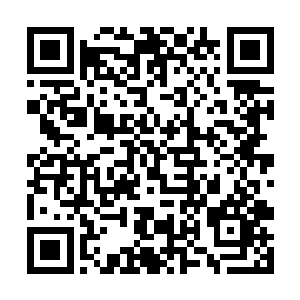 多希望金屠异或者白老大这些前辈能给予他一些指点二维码生成