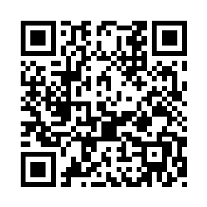 多数表决其实是让多数的蠢人决定蠢事二维码生成