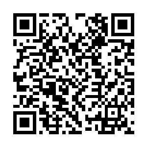 多目请圣母大人无论如何体恤这狮驼国中万千子民二维码生成