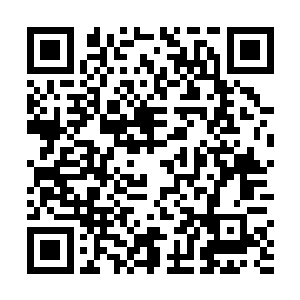 多贝小学校长苏三东请经常打交道的县教育局官员揭幕二维码生成