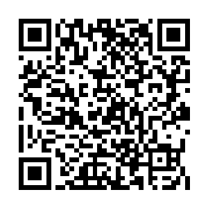 夜一的眼前却已然没有了星风与星火两人的身影二维码生成