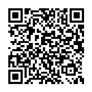 夜家一百精英在夜沐寒的指挥下退到了安全地点二维码生成
