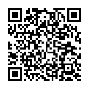 夜家如此大阵仗的来迎接夜染回族是对她莫大的荣幸二维码生成