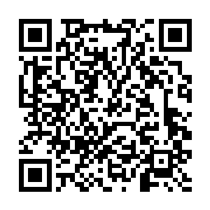 夜市上除了一些为了生计不得不出来叫卖的平民之外二维码生成