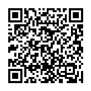 夜染之前因为子毒和腐蚀丹而造成的内伤更是完全好了二维码生成