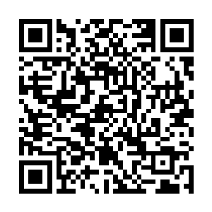 夜染便会用尽一切去将那一股毁天灭地的力量收为己用二维码生成