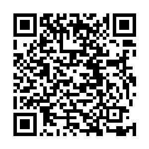 夜染只是告诉他们一声准备找人接手隐宗的店铺和商行后二维码生成