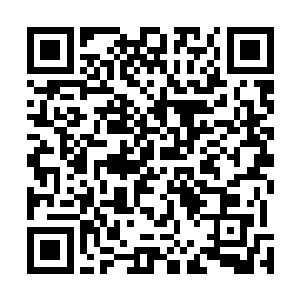夜染只觉得体内两股力量相争让她的身体几乎快要爆炸了二维码生成