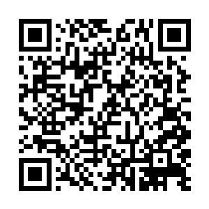 夜辜星已经有所预感――这将是一个直击心灵的故事二维码生成