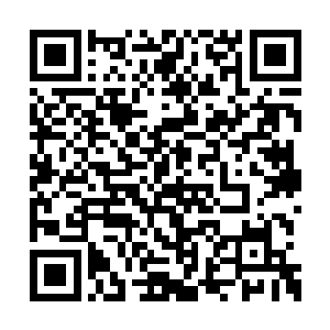 大不了你们赚钱之后把一部分收益捐给红十字会二维码生成