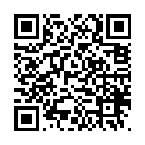 大不了躲在鬼市总镇府老实修炼好了二维码生成