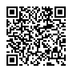 大乾剑府疾风剑豪姚翔对……大坤剑府震天剑豪楚暮……二维码生成