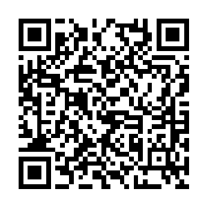 大乾王朝的国力也是东剑域十大王朝之内最为强盛二维码生成