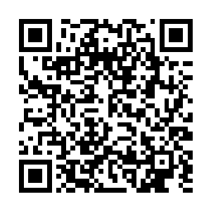 大伯母还有母亲等几个妯娌在院子里叽叽喳喳的聊天二维码生成