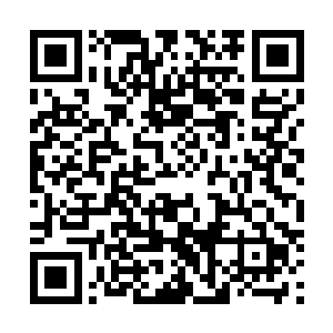 大伯父唯一违背老太太的事情只怕就是供养莫冠杰读书了二维码生成