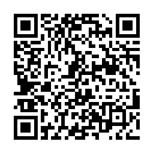 大僵尸脖子上的那个项链也开始大肆的吸收起了尸气二维码生成