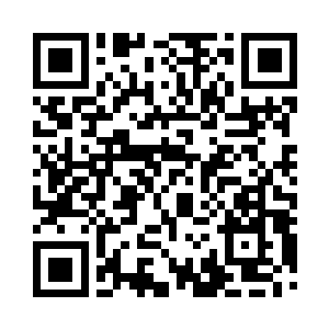 大儿子向来对于家里面的事情不管不问的二维码生成