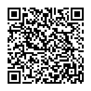大半个世纪或者一个多世纪以前这肯定是很豪华的雕花木扶手已经斑驳了二维码生成