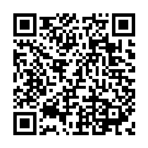 大叔……呜……妈妈……妈妈她……中毒了……二维码生成