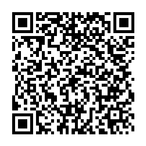 大名鼎鼎的战公子在东华城生死擂台扬言要挽回东域纹师天才的名誉二维码生成