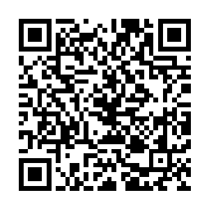 大周王国当年的那名风华绝代的护国大师已经不在人世间了二维码生成